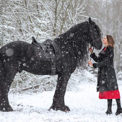 Photo #13228640