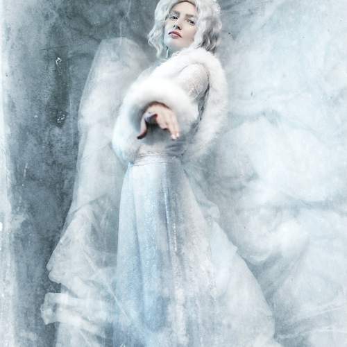 Photo #13228779