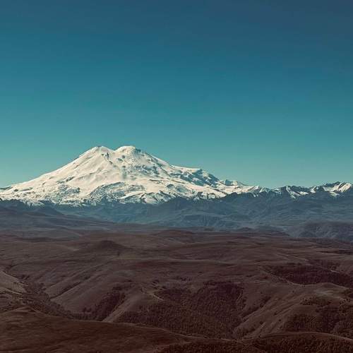 Photo #13228809