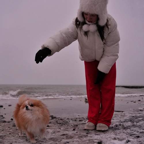 Photo #13228836