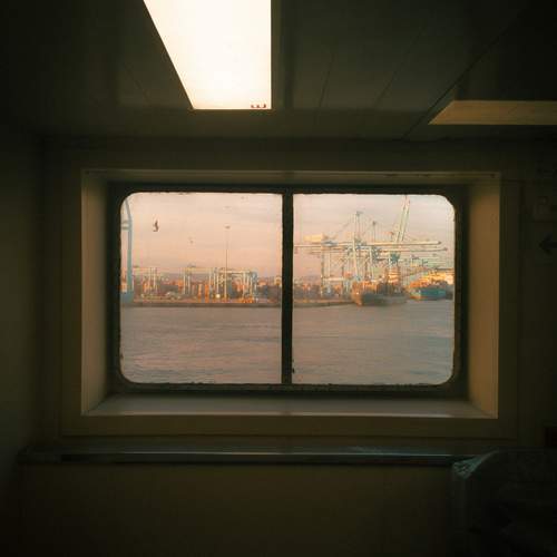 Photo #13228907