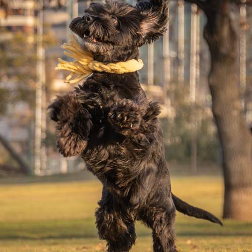 Photo #13229099