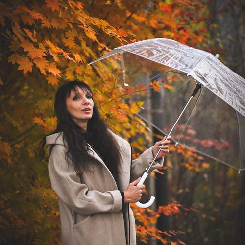 Фотография #13229169