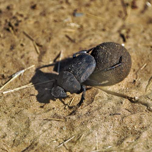 Это все мое