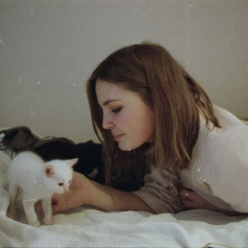 Photo #13229299