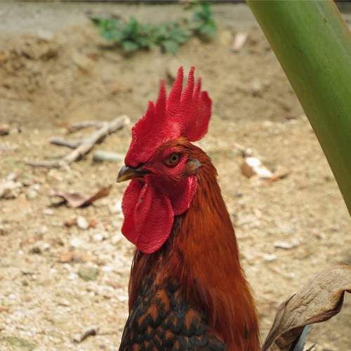 Photo #13229427