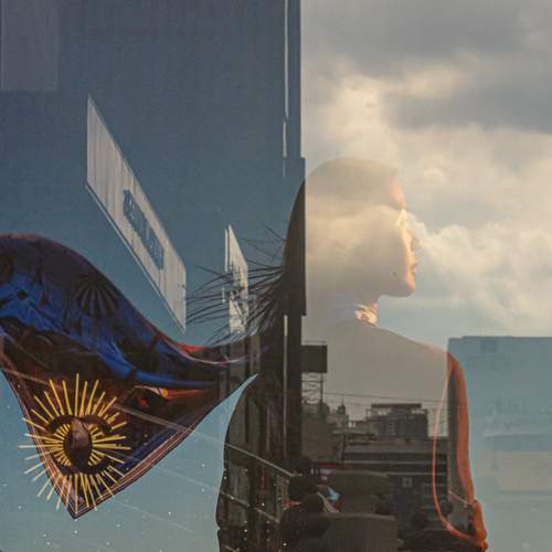 Photo #13229482