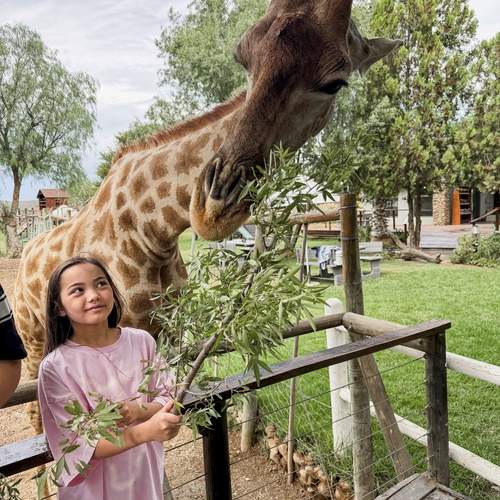 Photo #13229579