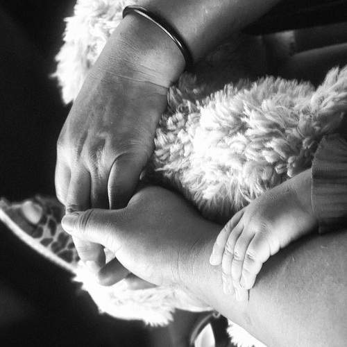 Photo #13229597