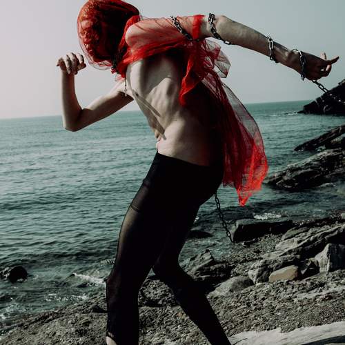 Photo #13229635