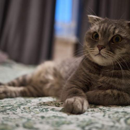 Photo #13229755