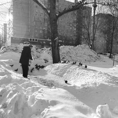 Photo #13229894