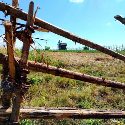 Photo #13229919