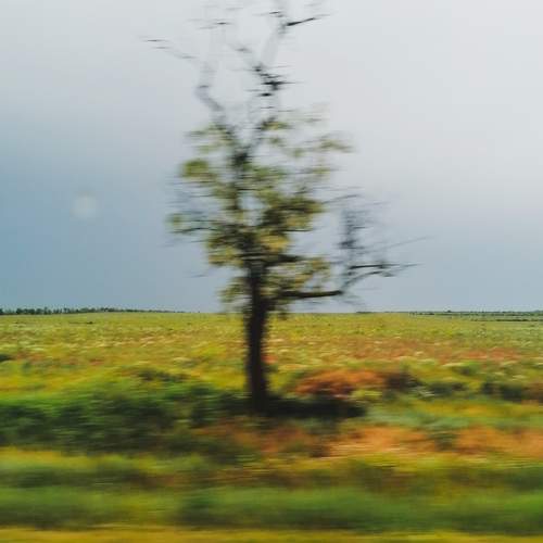 Photo #13229957