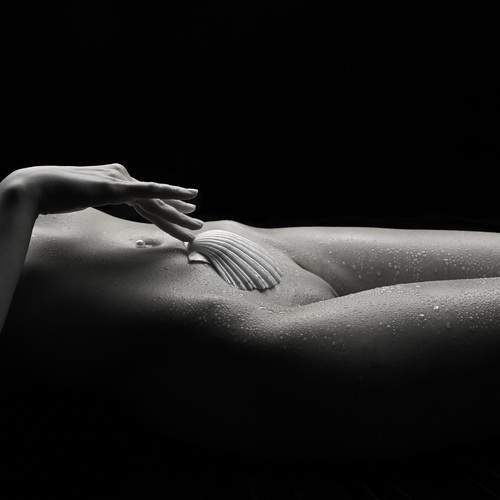 Photo #13229986
