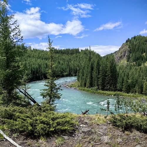 Река Коксу на Алтае