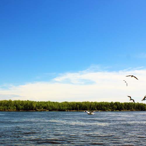 Над  рекой Лена.