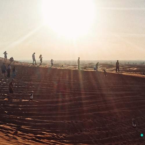 Desert
