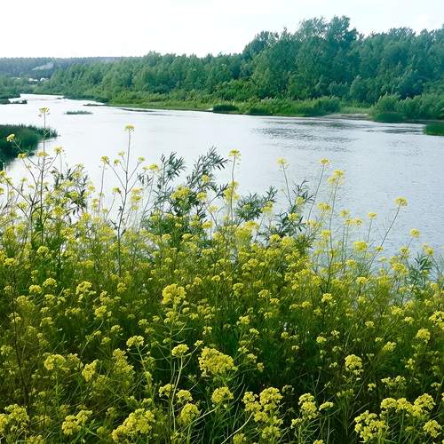 Photo #13230310