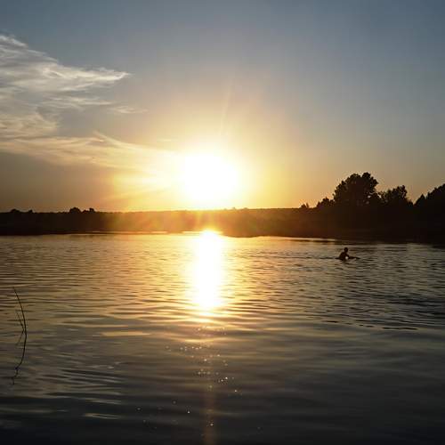Photo #13230313