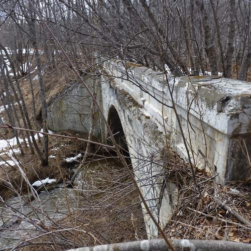 Photo #13230444