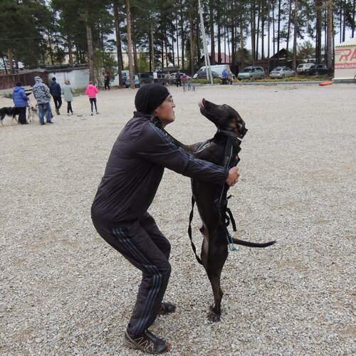 Photo #13230479