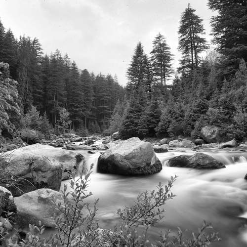 The wilderness is calling and I must go...