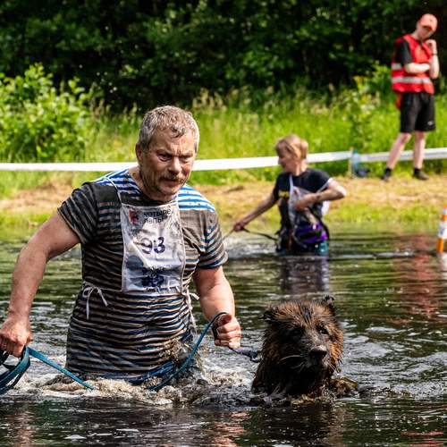 Photo #13230531