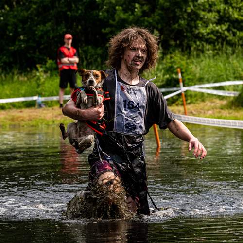Photo #13230565