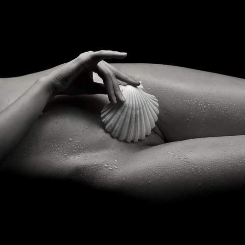 Photo #13230592