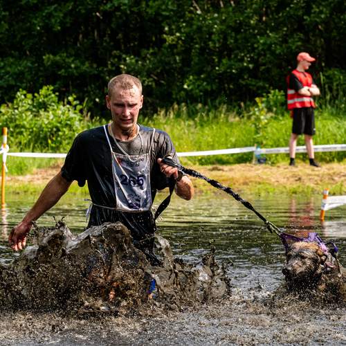 Photo #13230597