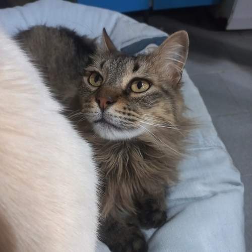 Photo #13230654