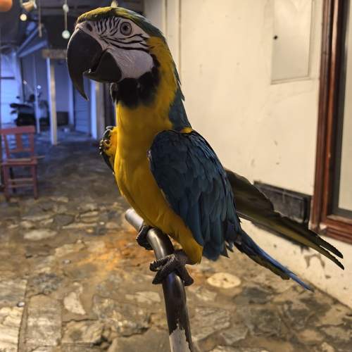Photo #13230922