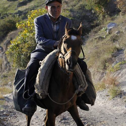 Photo #13231010