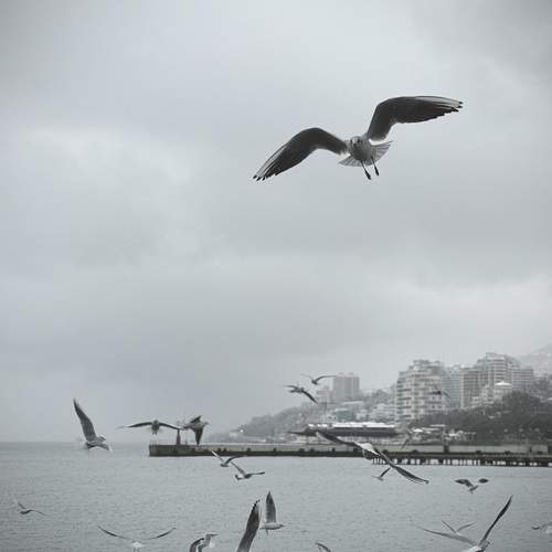Photo #13231105