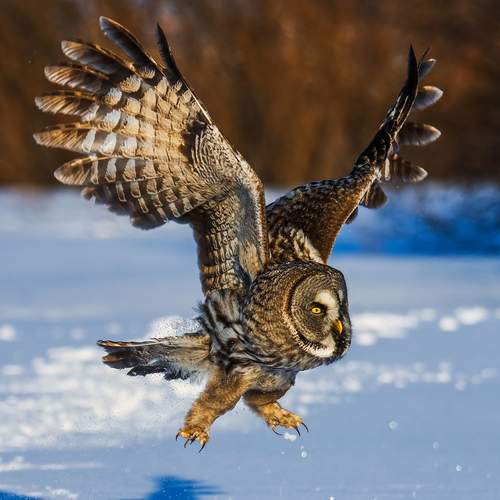Photo #13231106