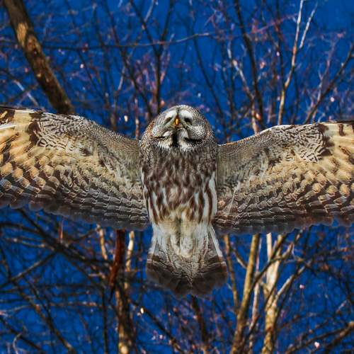 Photo #13231108