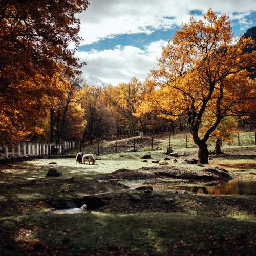 Photo #13231187