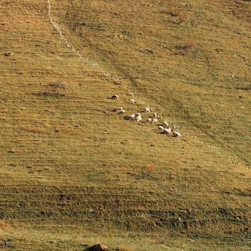 Photo #13231190