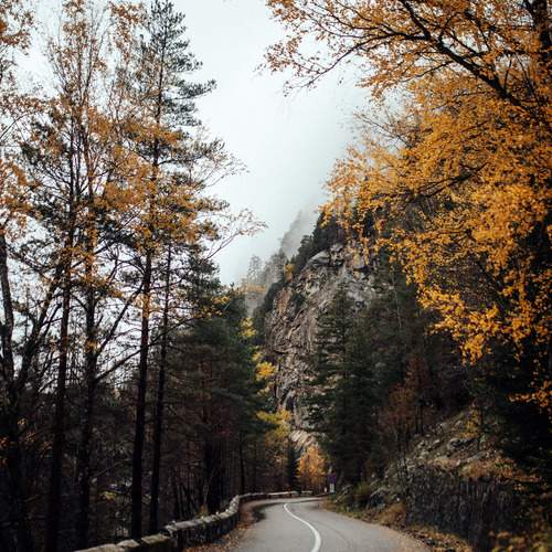 Photo #13231198