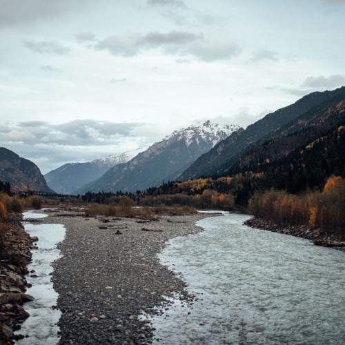 Photo #13231204