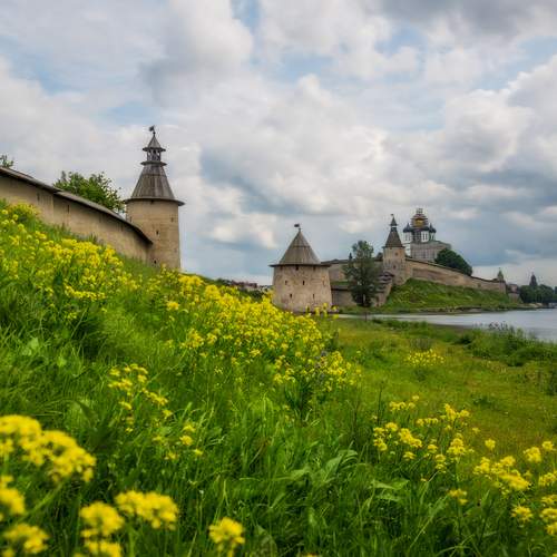 Photo #13231265