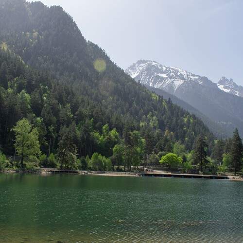 Photo #13231332