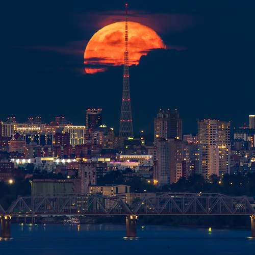 Photo #13231373