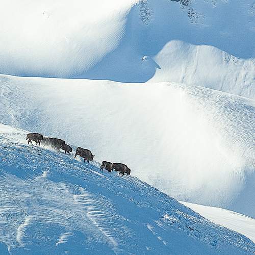 Photo #13231389