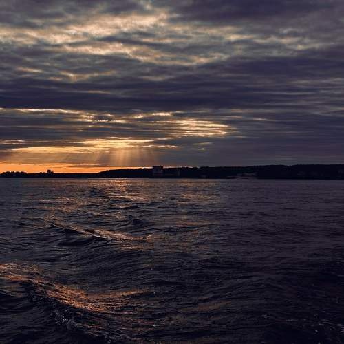 Photo #13231400