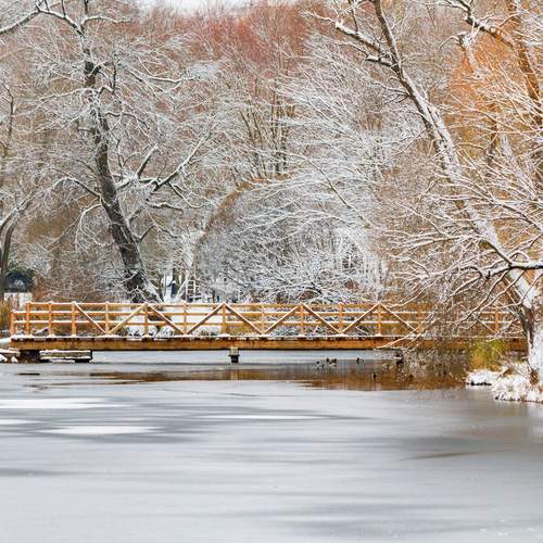 Photo #13231454