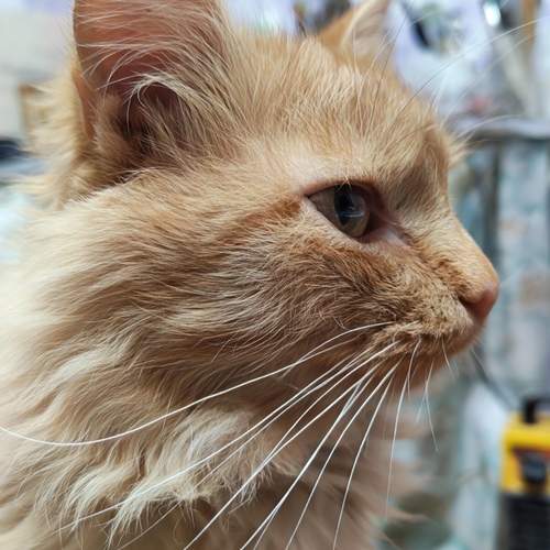 Photo #13231526