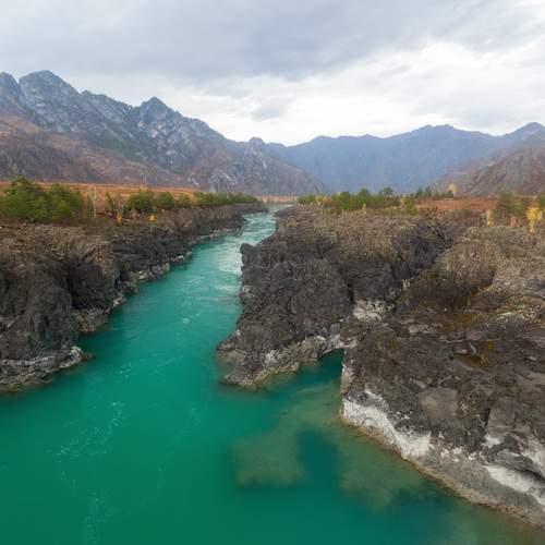 Photo #13231539