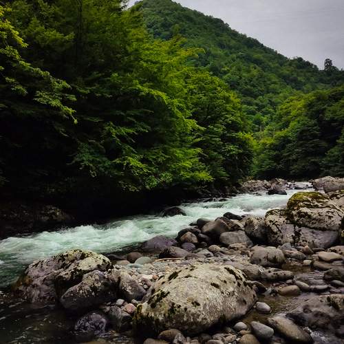 Photo #13231605